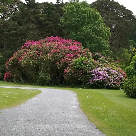 Watersedge Seaviews Pensjonat Kenmare
