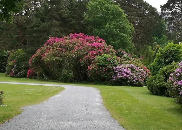 Watersedge Seaviews בית הארחה קנמארה