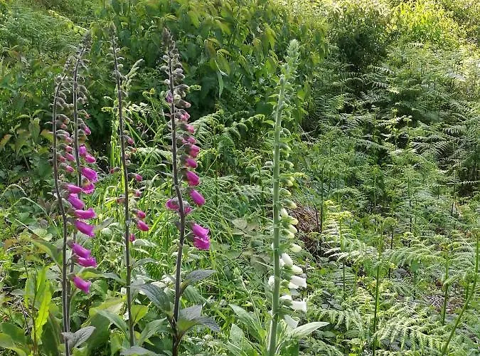 Watersedge Seaviews 4*