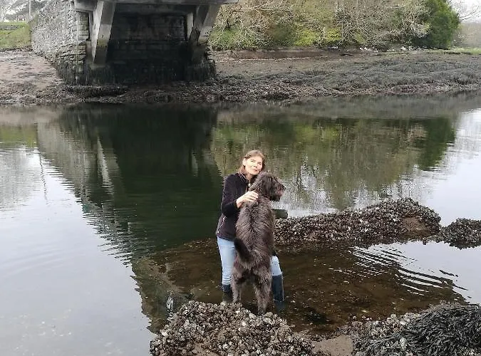 בית הארחה Watersedge Seaviews