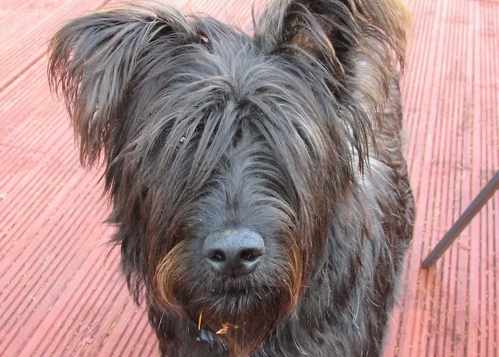 בית הארחה Watersedge Seaviews קנמארה