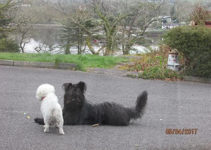 Watersedge Seaviews 4* קנמארה