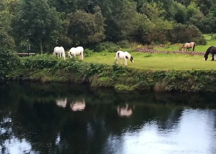 Watersedge Seaviews בית הארחה 4*